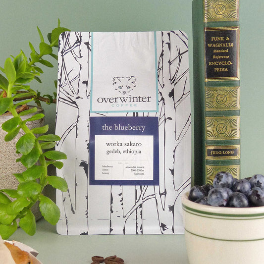 Overwinter Blueberry coffee bag