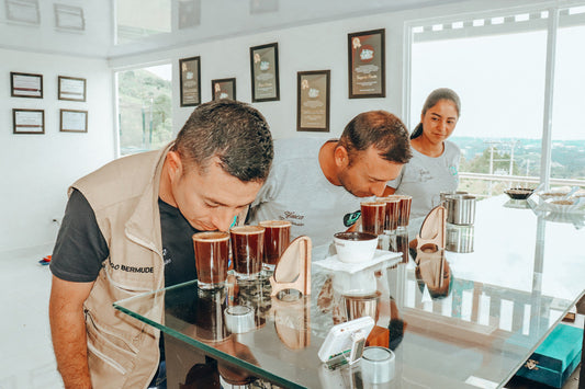Colombia El Paraiso Cardamom Cloud from Driftaway Coffee