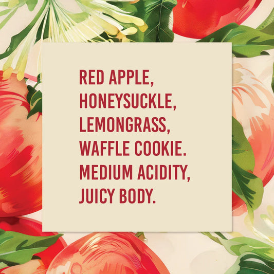 El Salvador Emilio Lopez Diaz Pacamara Natural